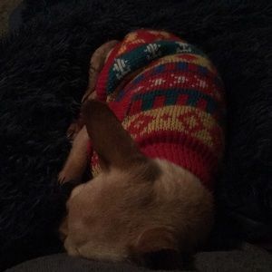 Meet your Posher, Cassandra